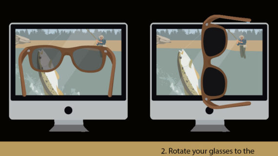 5 Ways To Test If Your Sunglasses Are Polarized